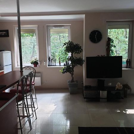 Apartament Maria ミエンジズドロイェ エクステリア 写真