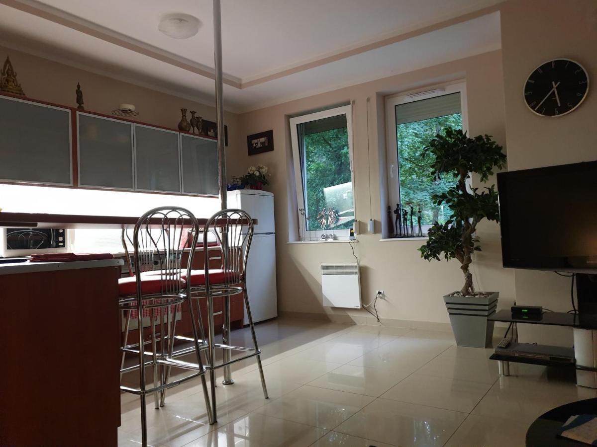 Apartament Maria ミエンジズドロイェ エクステリア 写真
