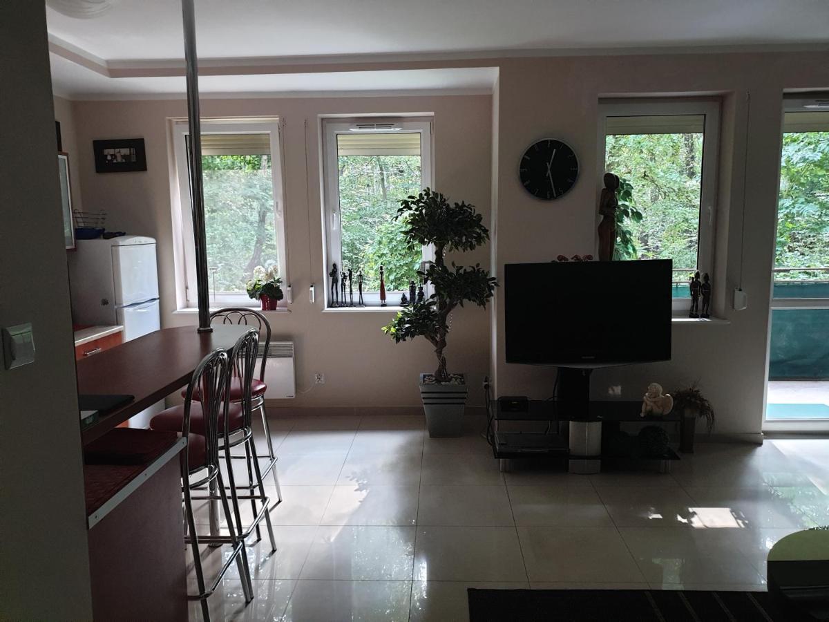 Apartament Maria ミエンジズドロイェ エクステリア 写真