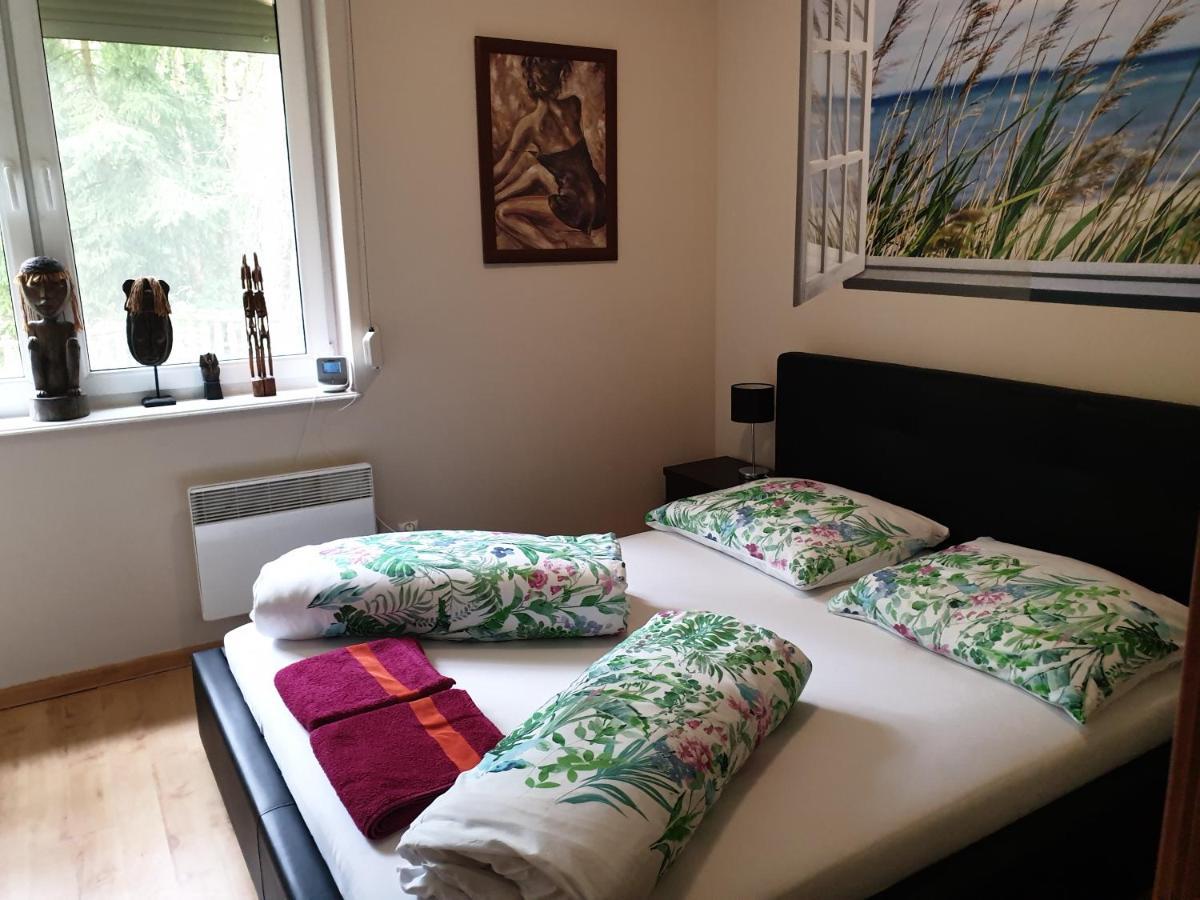 Apartament Maria ミエンジズドロイェ エクステリア 写真