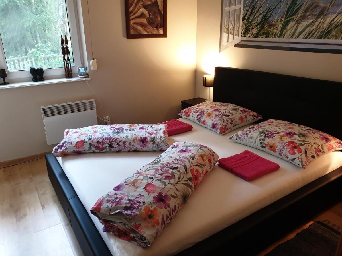 Apartament Maria ミエンジズドロイェ エクステリア 写真