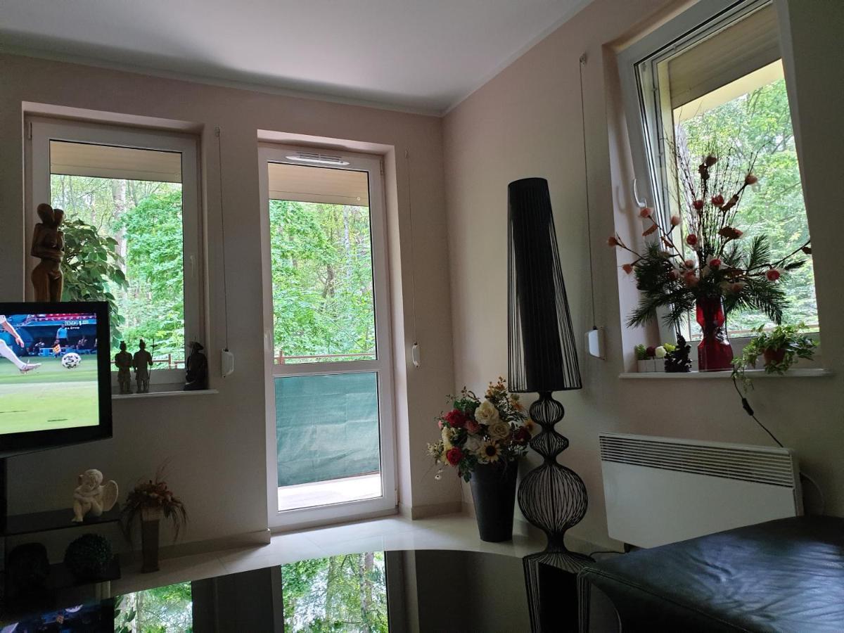 Apartament Maria ミエンジズドロイェ エクステリア 写真