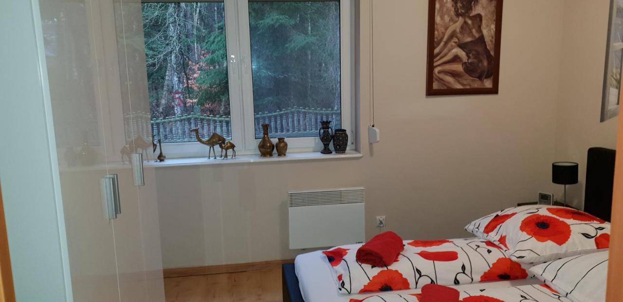 Apartament Maria ミエンジズドロイェ エクステリア 写真