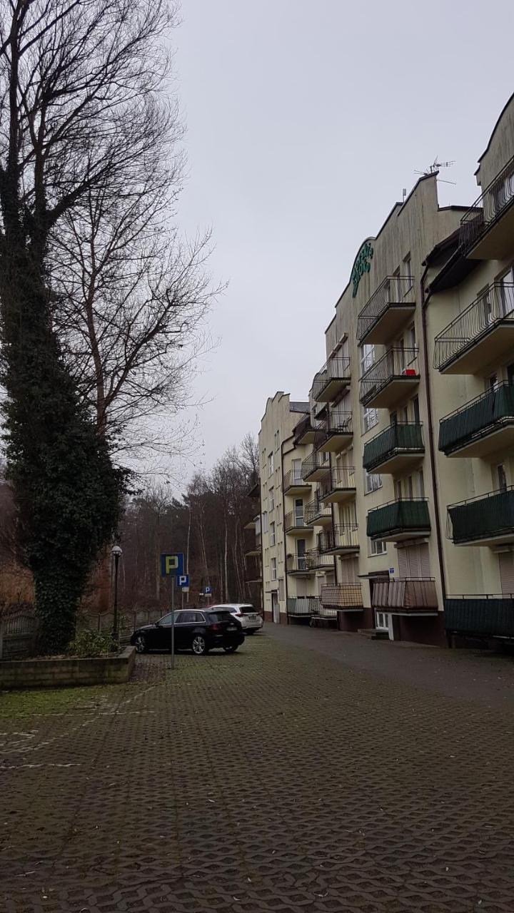 Apartament Maria ミエンジズドロイェ エクステリア 写真