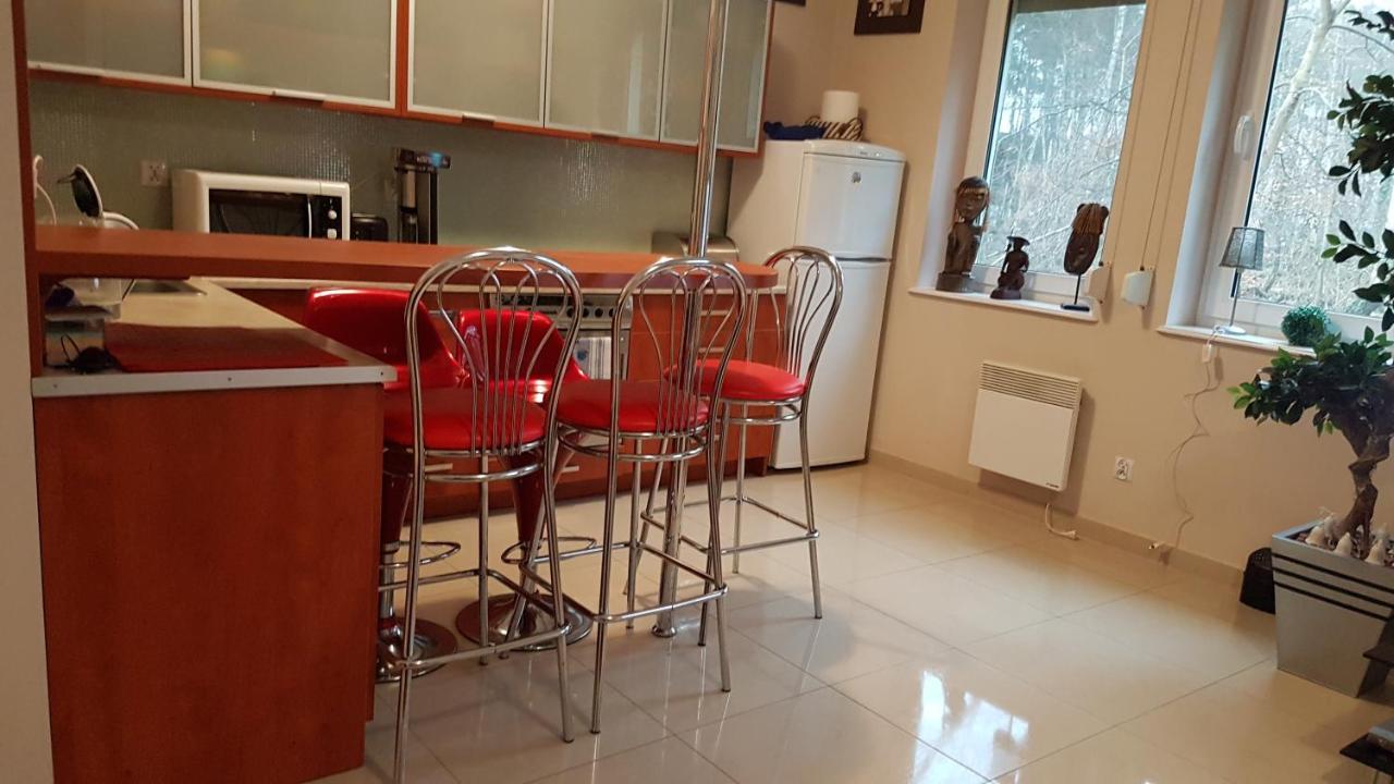 Apartament Maria ミエンジズドロイェ エクステリア 写真
