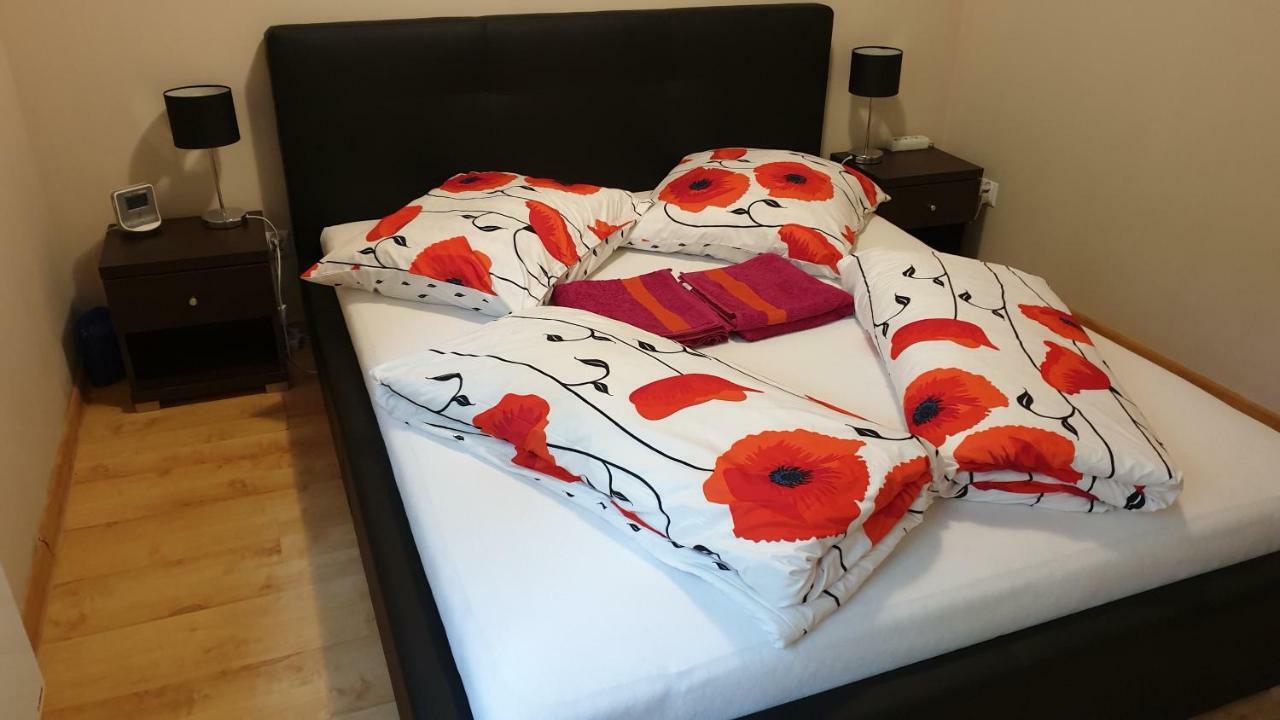Apartament Maria ミエンジズドロイェ エクステリア 写真