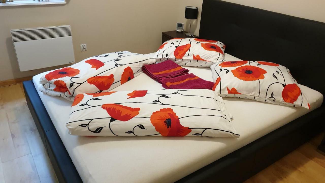 Apartament Maria ミエンジズドロイェ エクステリア 写真