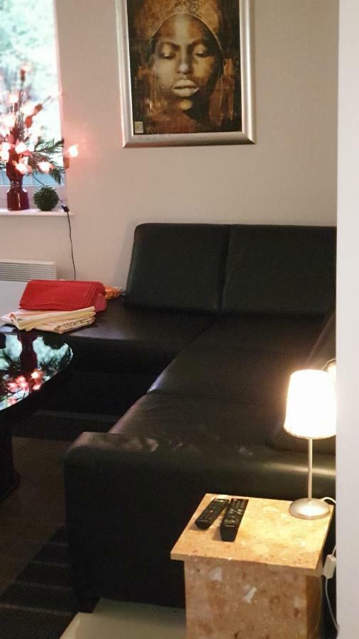 Apartament Maria ミエンジズドロイェ エクステリア 写真