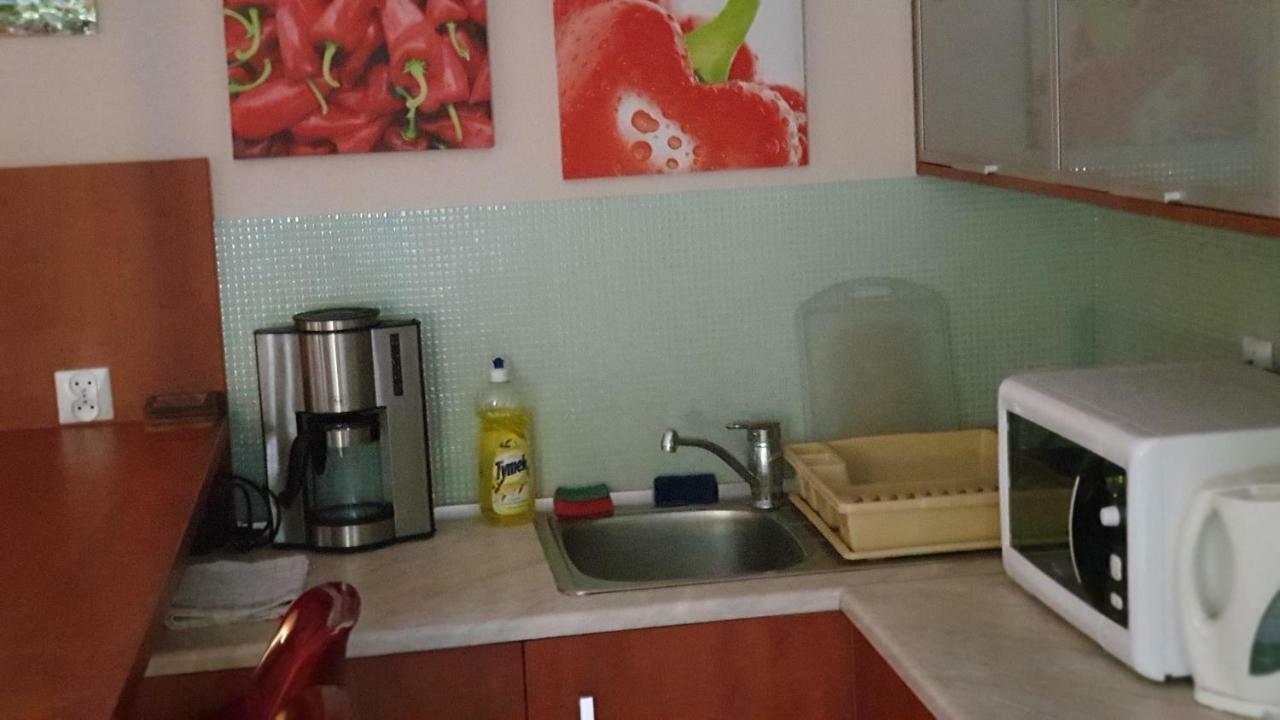Apartament Maria ミエンジズドロイェ エクステリア 写真