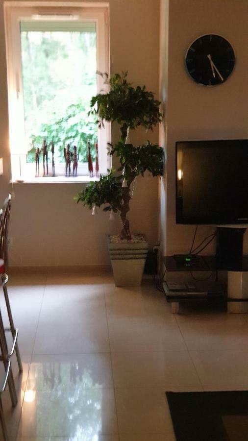 Apartament Maria ミエンジズドロイェ エクステリア 写真